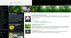 Desktop Screenshot of fallbrooksource.com